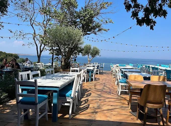 Paradise Bay سوزوبول